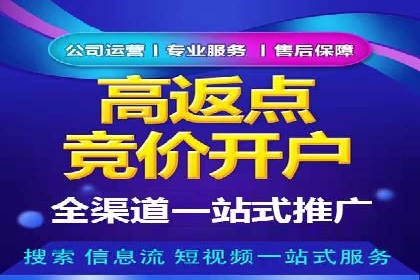 百度推广精准定位，案例深度解析